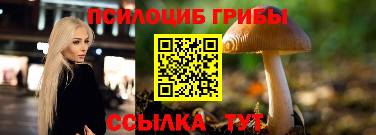 Псилоцибиновые грибы Psilocybine cubensis  Галлюциногенные грибы MAGIC MUSHROOMS  Вход с VPN  как найти закладки  Таганрог 